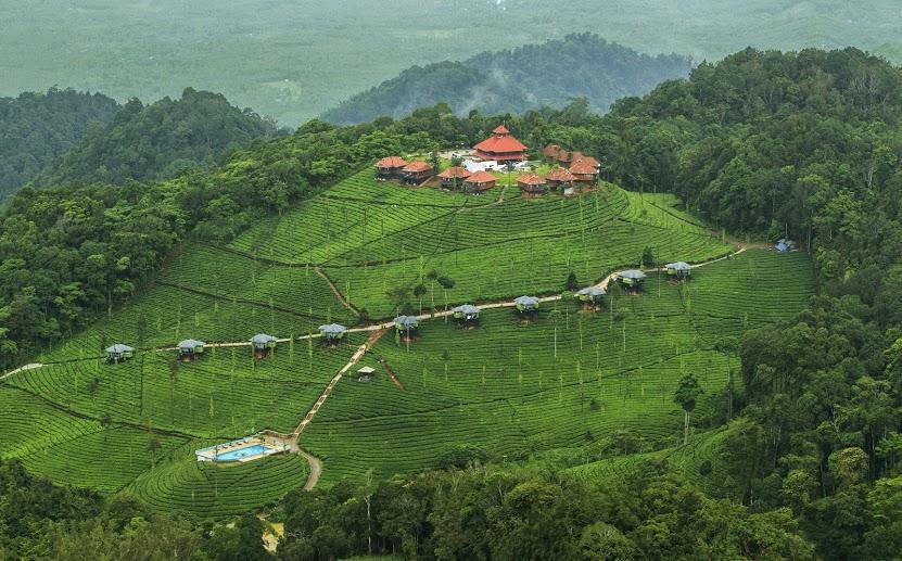 Wild Planet Jungle Resort Devāla Esterno foto