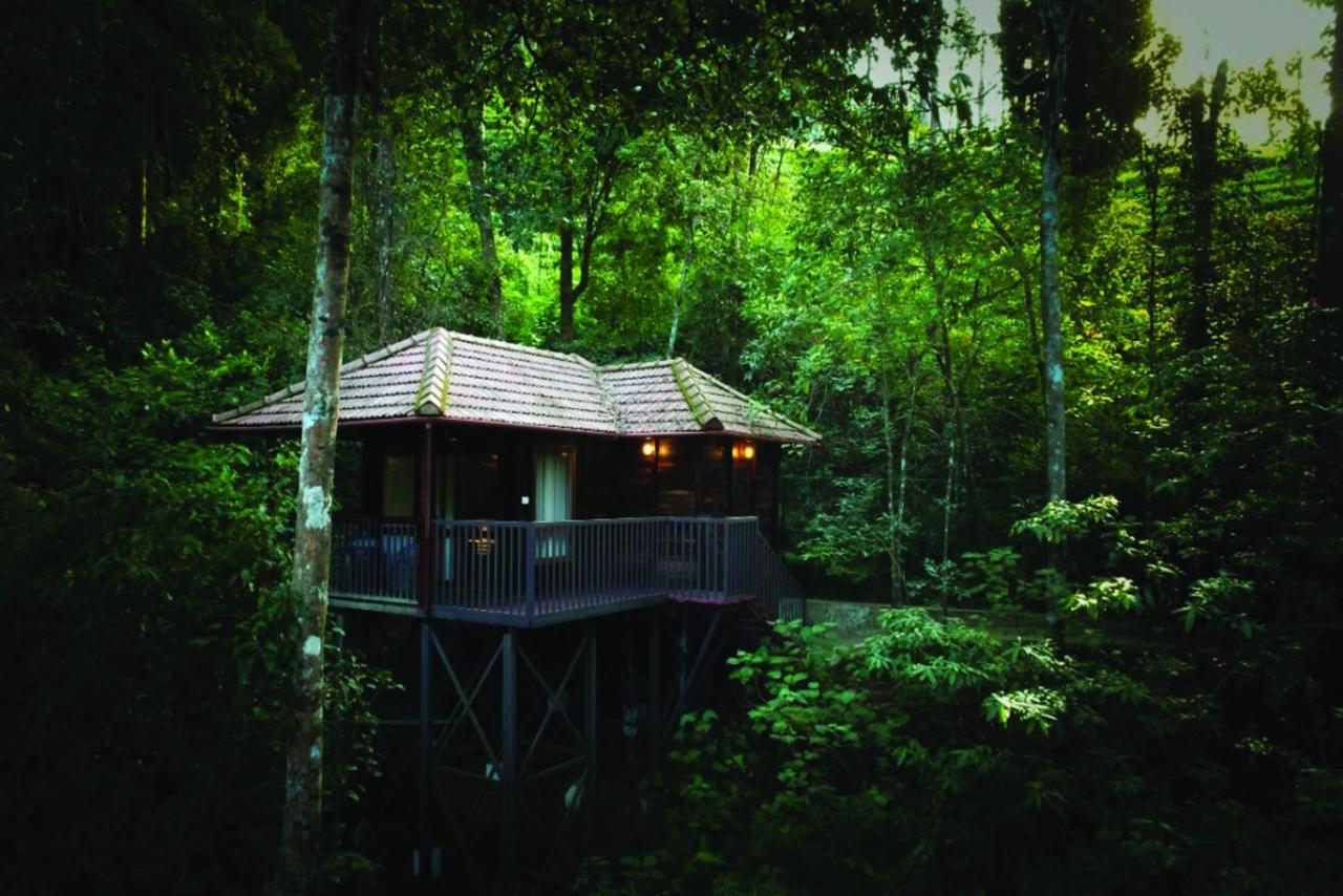 Wild Planet Jungle Resort Devāla Esterno foto