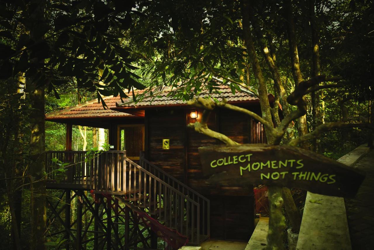 Wild Planet Jungle Resort Devāla Esterno foto